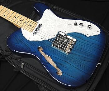 Amazon | FGN FUJIGEN NTE100MAHT SBB フジゲン Neo Classic